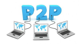 中国市场对P2P健全发展之研究 以网络技术服务为视角